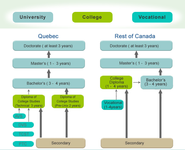 Bachelors degree - Wikipedia